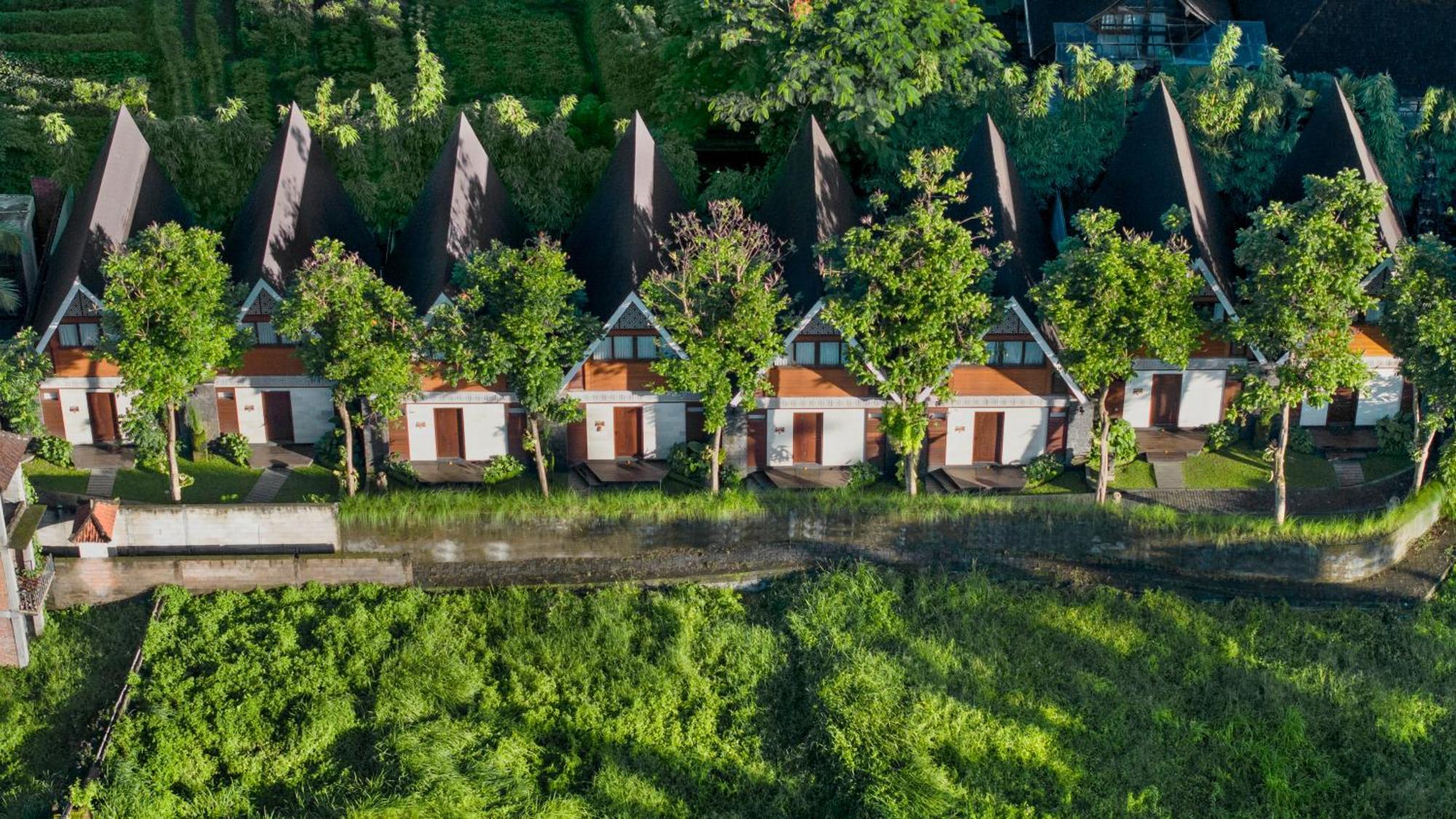 One-Bedroom Pool Villa with Free Daily Afternoon Tea
